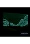 Tablou DualView Startonight Copac singuratic, 80 cm x 120 cm - 2