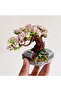 Decorative Collectible Sakura Tree Flower Building Set 426 Piece Puzzle Block Flower Building Set - 6