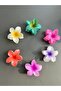 hair clip - 2