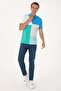 Men's Regular Fit Light Gray Polo Neck T-Shirt 50300154-Vr001 - 4