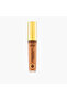 Armaf Beaute Parfaite Fix Concealer