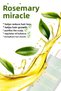 Rosemary Oil Effective Against Hair Loss and Fast Growth 100ml - 4