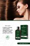 Keratin Collagen Extra Repair Anti-Hair Loss Fast Growth Effective Herbal Shampoo - 5
