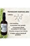 Rosemary Plus - Rosemary Water Biotin Caffeine Premium Hair Care Anti-Hair Loss 100 ml Rosemary - 5