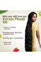 Kerala Thaali Hair Oil 150 ml - 5