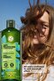 Anti-Dandruff (Anti Pelliculaire) Soothing Prebiotic Shampoo - Sulfate-Free -300 ml - 4