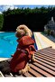 Waffle Dog Bathrobe Fast Water Absorbent Organic Cotton Fabric, Dog Clothing - Tile - 4