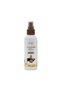 Argan Shine Sprey 100 ML - 2