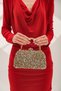 Women's Gold Stone Evening Dress Clutch Portfolio Bag - 4