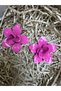 Flower Earrings - 2