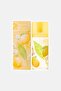 Women Green Tea Citron Freesia Eau De Toilette 100ml