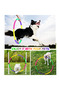 Kids Exercise Hoops – Adjustable, Colorful Rings for Boys, Girls Fitness & Pet Training Fun - 4