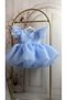 Butterfly Baby Blue Puffy Skirt Girl's Dress - Special Occasion Dress - 2