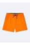 Basic Regular Orange Swim Shorts