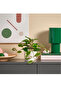 Fejka Balmumu Artificial Plant, 9 Cm, for Interior and Exterior - 3