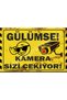 Metal Smile You Are Your Friend Camera Takes You and Warning Sign 20X30 cm