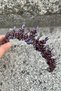 Thalia Model Purple Crown – Bridal Henna Wedding Evening Dress with Stones for a Showy Hair Crown - 3