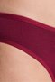 Gots Certified Organic Cotton Classic Women's Panties - 5