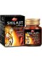 Shilajit Capsules 30s