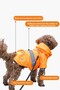 Dog Raincoat, Reflective Waterproof Dog Raincoat, Dog Apparel, Orange Dog Raincoat - 3