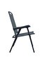 Folding Garden Chairs 2 pcs Texilene Grey - 4