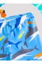Erkekkkk Children's Swimsuit 4-Piece Set of Sea Shorts Beach Hat Swimsuit Suit Top Beach Clothing Sun-Proof - 3