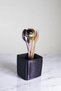 Countertop Cutlery Decorative Vertical Cutlery Cylinder Cutlery Black Color Model 86