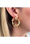 Steel Rose Earrings to Love and Special Diary - 2