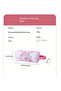 Sanrio Kuromi Character Pencil Case / Purple Color - 2