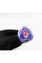 Scania Design Coat of Arms Aluminum Sticker Model Design 2 Special for Taggers - 3