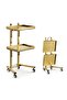 Stylish Gold Rolling Trolley for Salons & Spas | Serving Trolley - 2