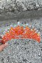 Daisy Stone Bridal Tiara – Orange Henna Wedding Crown Model, Hair Accessory