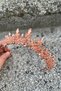 Thalia Model Copper Crown – Bridal Henna Wedding Evening Dress with Stones Showy Hair Crown - 3