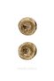 Pair of Crushed Plate Ring Women's Earrings