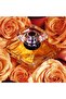 LANCOME TRESOR EDP 100ML - 4