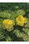 Filigree Yellow Flower Earrings - 7