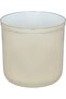 Set of Cups with Stainless Steel Case and Lid, Alsaif Gallery, 8 Pieces, 22×22×8 cm - Gold - 3