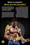 Creatine Ultimate 700 g - Power and Performance Enhancement, Blackberry Flavor, Gorilla Figurine Gift - 3