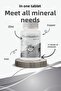 Minerals (11 Types of Minerals - Iron, Calcium, Magnesium, Molybdenum, Selenium, Chrome, Zinc) 30 Tablets - 2