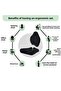 وسادة جلوس مريحة من Viscomfort ووسادة خصر فيسكو - أسود - 6