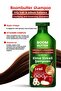 Anti-Oil Apple Cider Vinegar Shampoo 400 ml - 6