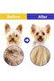 Lice Comb Set Cat Flea Comb Brush Cat Hair Collection Lice Shampoo Flea Powder - 5