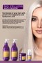 Anti-Yellow Shampoo - Tone Balancing Anti-Yellow Shampoo for Yellow and Gray Hair 500 ml - 3