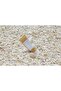 Madagascar Centella Ampoule Foam 20ml - 2