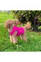 Dog Clothing, Fuchsia Dog Denim Jacket - Small Breed Dog Clothing (0-15kg) - 8