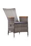 Outdoor Chairs 2 pcs with Cushions Poly Rattan Grey - 4
