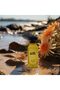 Sea Queen Pour Femme Eau de Parfum 100ml - 5