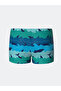 Lcw Eco Turquoise Elastic Waist Printed Boys Boxer Swimsuit - 2