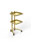 Stylish Gold Rolling Trolley for Salons & Spas | Serving Trolley