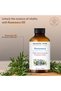 Rosemary Essential Oil - Pure and Natural Aromatherapy Oil - Therapeutic Grade, 4 fl. - 4
